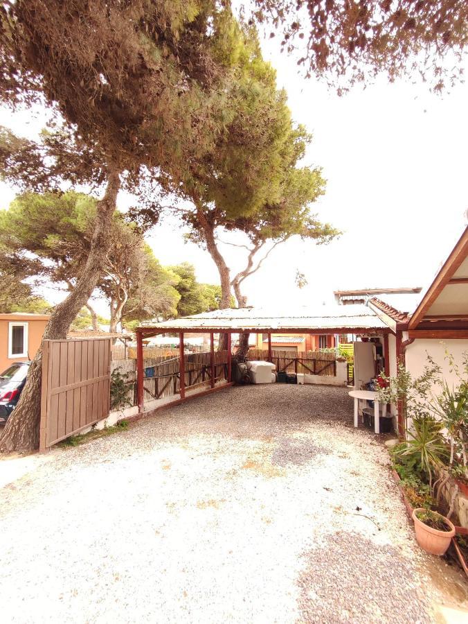 הוילה פורטו פינו Casa Del Pino מראה חיצוני תמונה